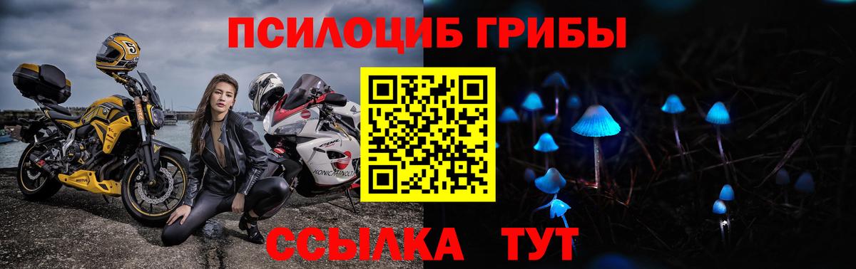 Псилоцибиновые грибы Cubensis Сатка